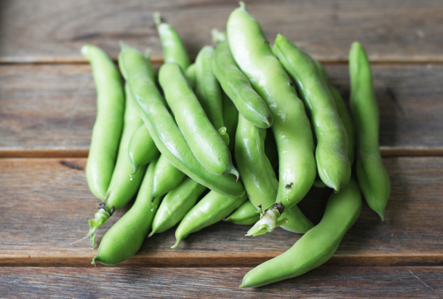 broad-beans-in-their-pods.jpg