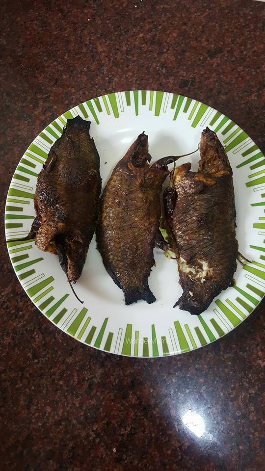 13962581_1642501506061132_4591979781879777_n