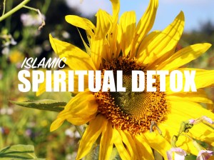 spiritualdetoxthumbnail-001