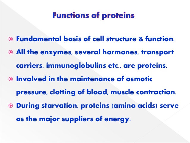nutritional-importance-of-proteins-3-638.jpg