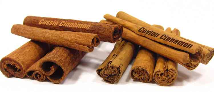 NF-Apr17-Update-on-Cinnamon.jpg
