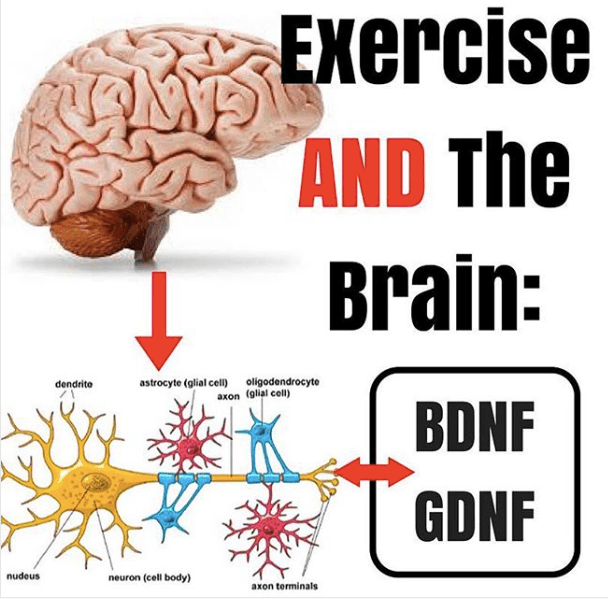 Screen Shot 2018-05-13 at 1.02.46 PM