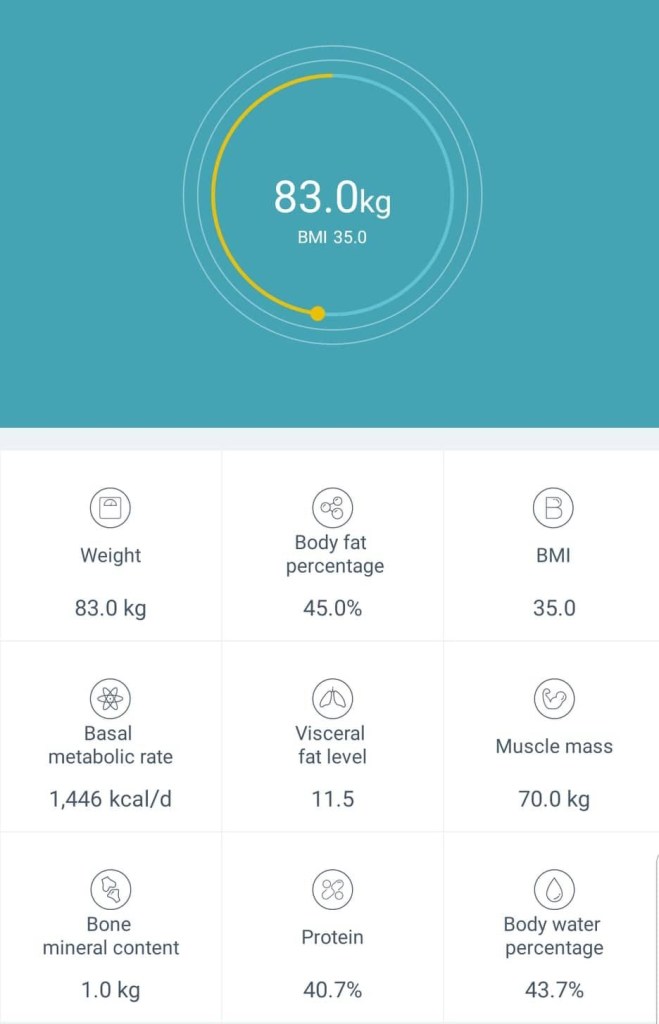 66779838_393339897953083_3398579927375675392_n