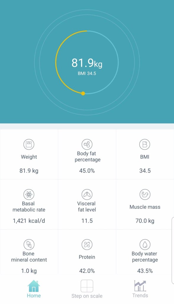 67480154_350926638925410_6078166893288488960_n