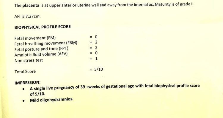 67388690_2420106064752050_6450823832419696640_n