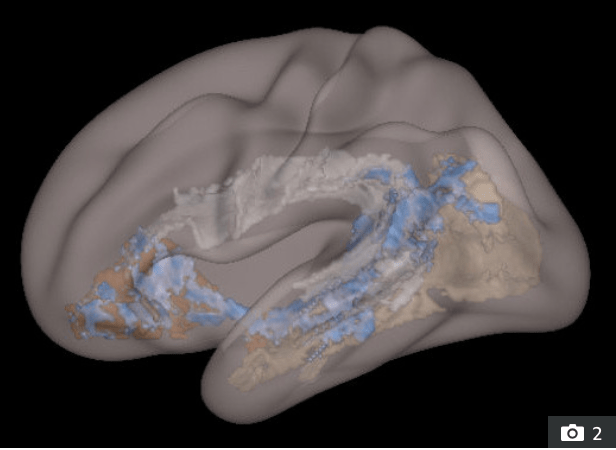 Screenshot 2019-11-22 at 1.16.58 PM